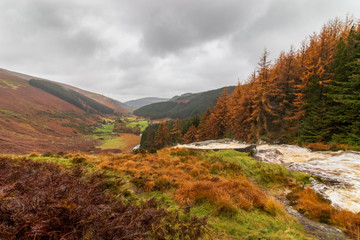 autumn landscape in the Wicklow  mountains
