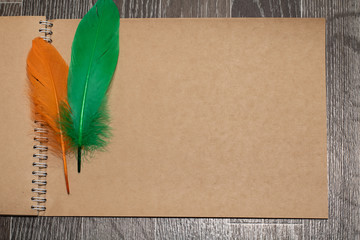 blank leaf with feathers
