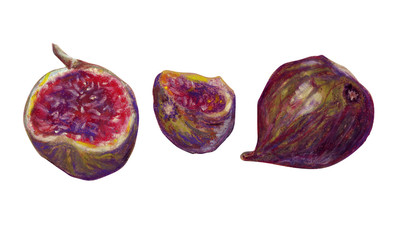 Set of purple figs whole fruits and half. Hand drawn illustration by oil pastel on white background.