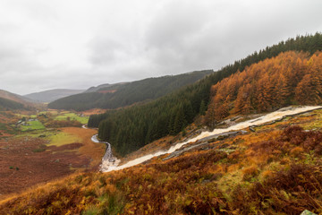 autumn landscape in the Wicklow  mountains
