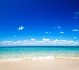 beautiful beach and tropical sea