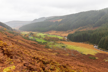autumn landscape in the Wicklow  mountains