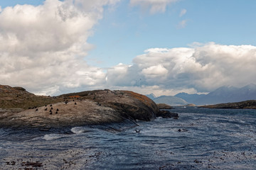 Argentina, Patagonia – island with birds