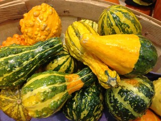 A Basket of Gourds