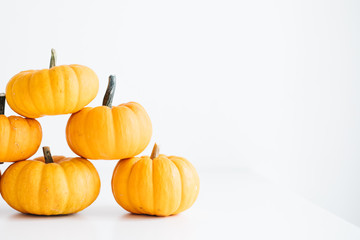 Fresh pumpkin isolated on white background. For Halloween, thanksgiving holiday and Autumn theme