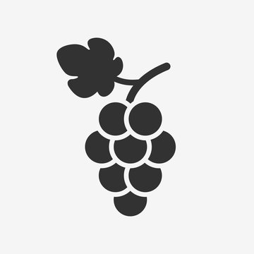 Grapes icon. Grapevine with leaf. Wine logo. Fruit pictogram. Vector illustration isolated.