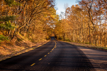 Obraz premium Vibrant colors in Blue Ridge Parkway roads during sunset at the Golden Hour
