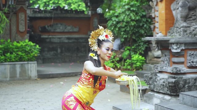 Slow motion of pendet dancer holding frangipani flower and dancing in the temple while wearing traditional costume