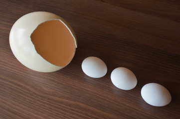 eggs on wooden background