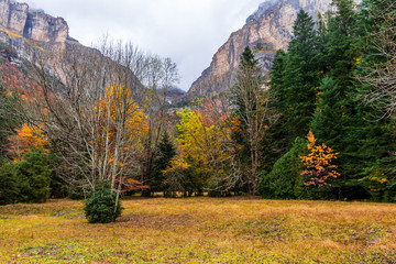 Naklejka premium Autumn fall in Ordesa National Park