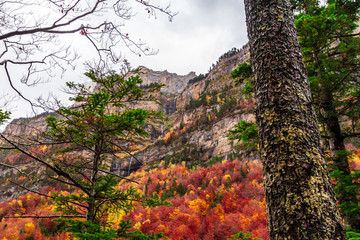 Autumn fall in Ordesa National Park
