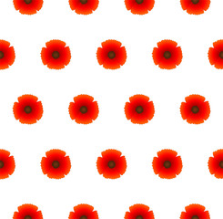 Poppy red flower seamless pattern, vector illustration, floral background for textile, printing, summer dress, Remembrance day as symbol of peace, garden bouquet shop ad, botanical colorful wallpaper