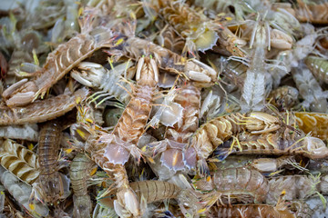 seafood in the Vietnam market, squid, fish, shrimps