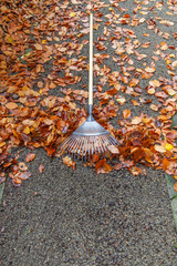 Laub mit Rechen zusammen fegen im Garten Wintervorbereitungen im Herbst Autumn