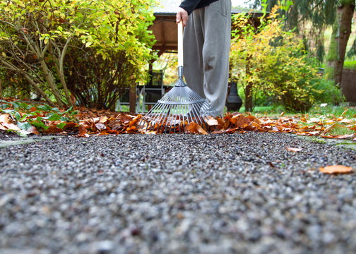 Herbstlaub zusammenfegen mit Rechenim Garten