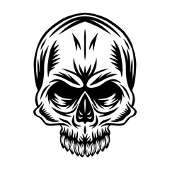 Vintage retro human skull isolated vector illustration on a white background. Design element.