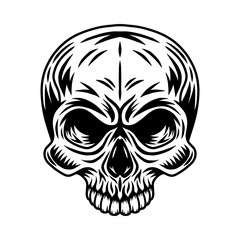 Vintage retro human skull isolated vector illustration on a white background. Design element.