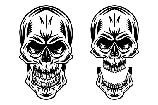 Vintage retro human skull and jaw isolated vector illustration on a white background. Design element.