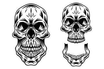 Vintage retro human skull and jaw isolated vector illustration on a white background. Design element.