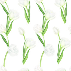 Seamless pattern with white tulips, watercolor painting. For design textile