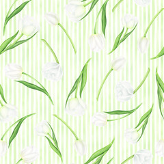 Watercolor seamless pattern with white tulips. For design textile and cards