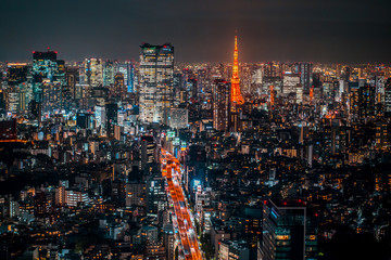 Naklejka premium Night view of TOKYO - JAPAN