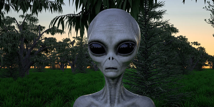 Alien Grey Humanoid Extraterrestrial Being in a forest extremely detailed and realistic high resolution 3d illustration