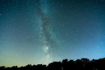 Galaxie Milchstraße über Wald in der Nacht