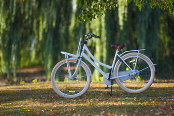 Fototapeta premium A pleasure folding women's bike with a trunk. Parking stop