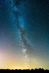 Milky Way over a forest in fall or winter