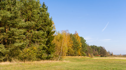 Piękna polska złota jesień, Dolina Górnej Narwi, Podlasie, Polska