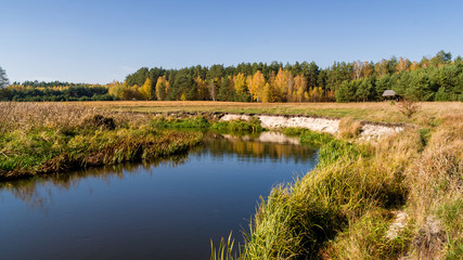 Piękna polska złota jesień, Dolina Górnej Narwi, Podlasie, Polska © podlaski49