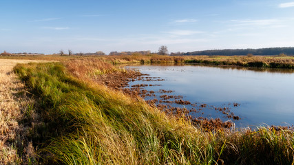 Piękna polska złota jesień, Dolina Górnej Narwi, Podlasie, Polska © podlaski49