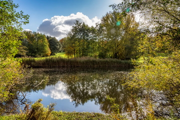 Teich Steinfurths Diek in Hamburg im Herbst