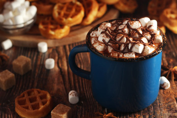 A mug with hot chocolate with marshmallow	