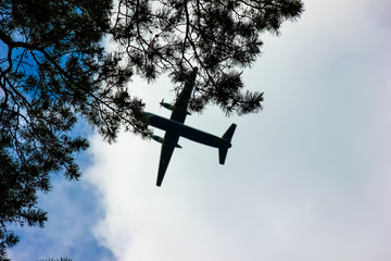 Obraz premium Aircraft approaching on final over trees crowns