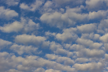 Cumulus clouds in the blue sky, birds in the sky.