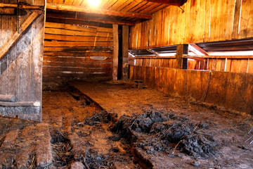 Fototapeta na wymiar Interior view of an old wooden barn with fresh manure. Cow Shed.