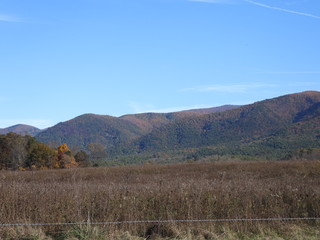 Cades Cove, SMNP, Autumn Colors