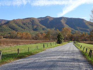 Cades Cove, SMNP, Autumn Colors