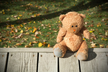 brown toy bear sits on a gray wooden background in autumn