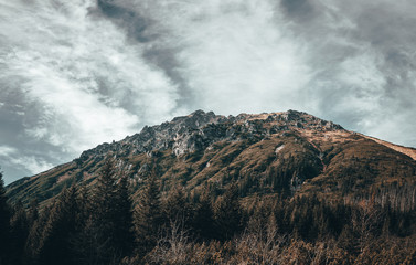 Paisaje de montaña en europa con naturaleza, bosque con árboles en otoño y cielo con nubes