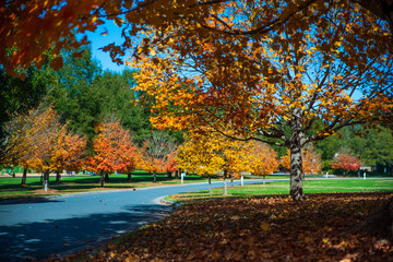 Fall Colors In Fort Mill SC