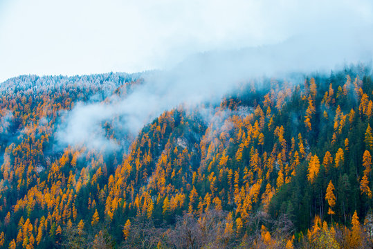 winter mountain landscape with fogy