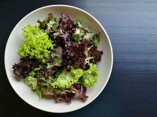 Lollo rosso lettuce salad. Fresh vegetables. Copy space is on the right side.