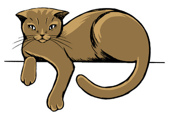 Vintage style vector illustration. Cute brown lying cat. Scottish fold cat. Hand drawn graphic colour picture. Digital sketches of pet animals. Design element for poster, print, postcard, t-shirt etc.