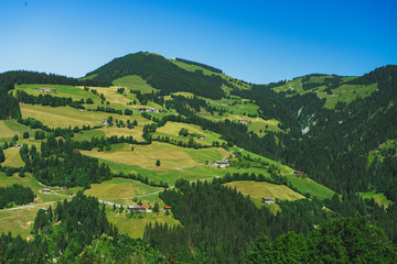 saftig grüner bewaldeter Berg in den Tiroler Alpen im Raum Ellmau. Kitzbühler Alpen in Österreich