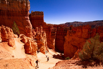 Fototapeta premium Beeindruckende Landschaft von Bryce Canyon im Oktober 2019