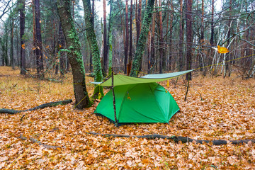green touristic tent under a tarp in a forest, autumn touristic camp scene © Yuriy Kulik