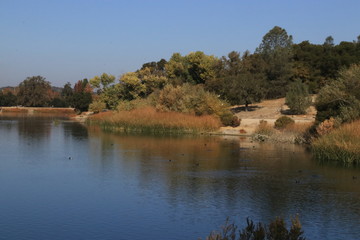 Fall at Atascadero lake